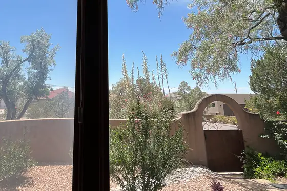 Interior window cleaning — clear views from inside